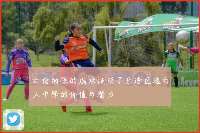 白伦纳德的成功证明了乐透区选白人中锋的价值与潜力