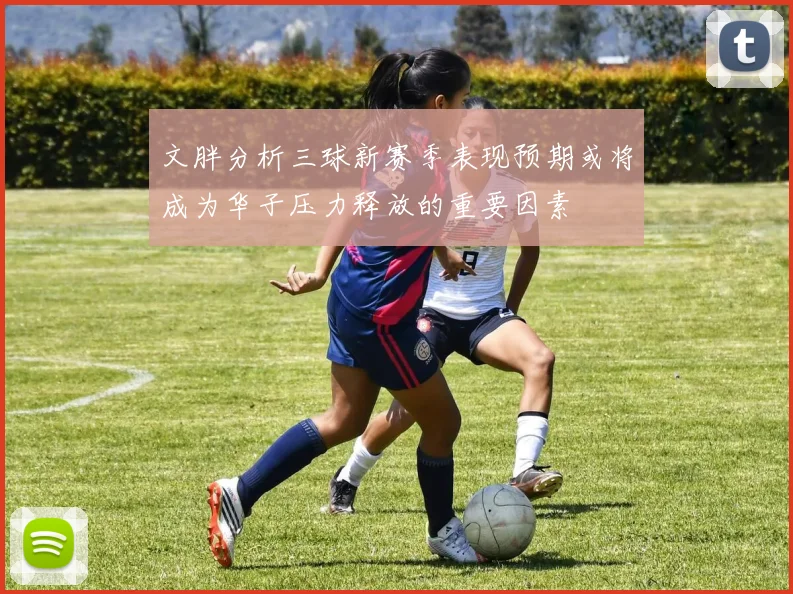 文胖分析三球新赛季表现预期或将成为华子压力释放的重要因素